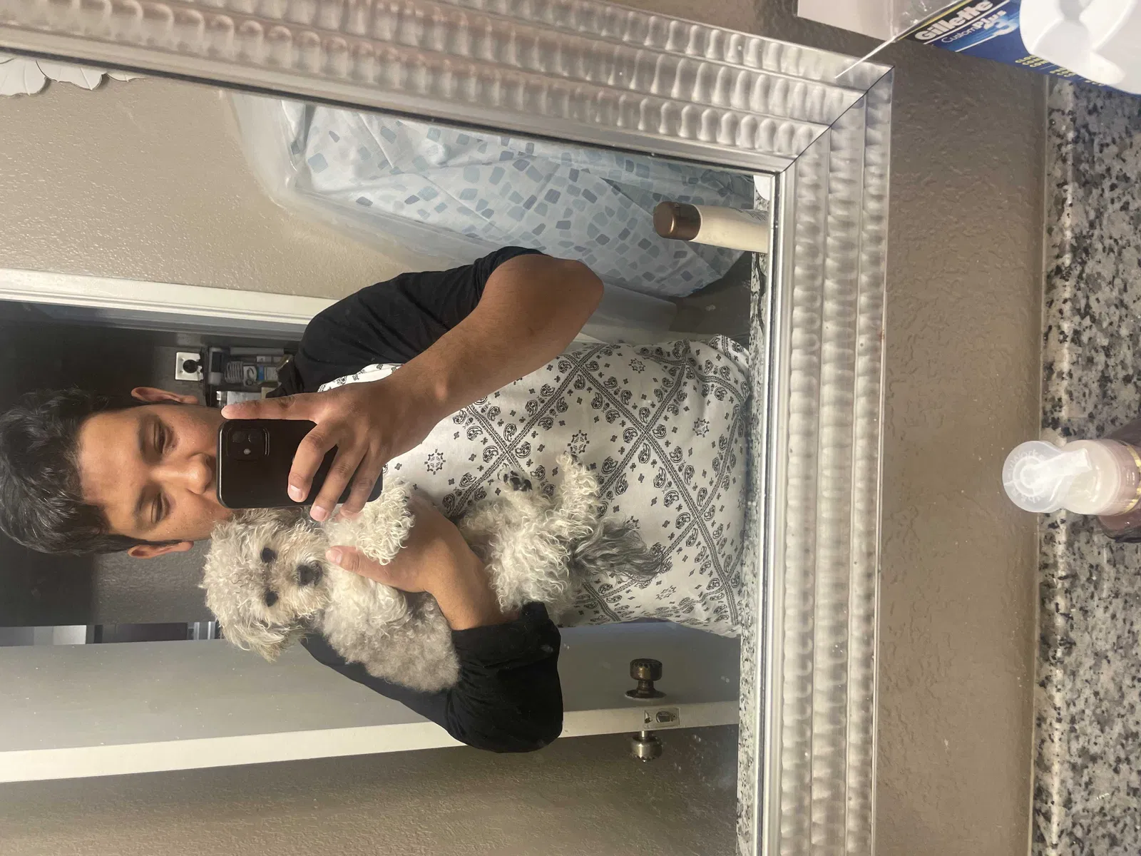 Lost dog in San Diego, CA, 92113