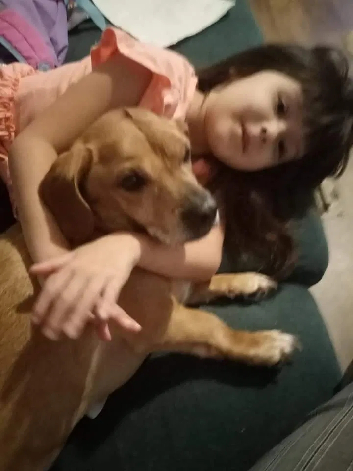 Lost dog in Crowley, TX, 76036