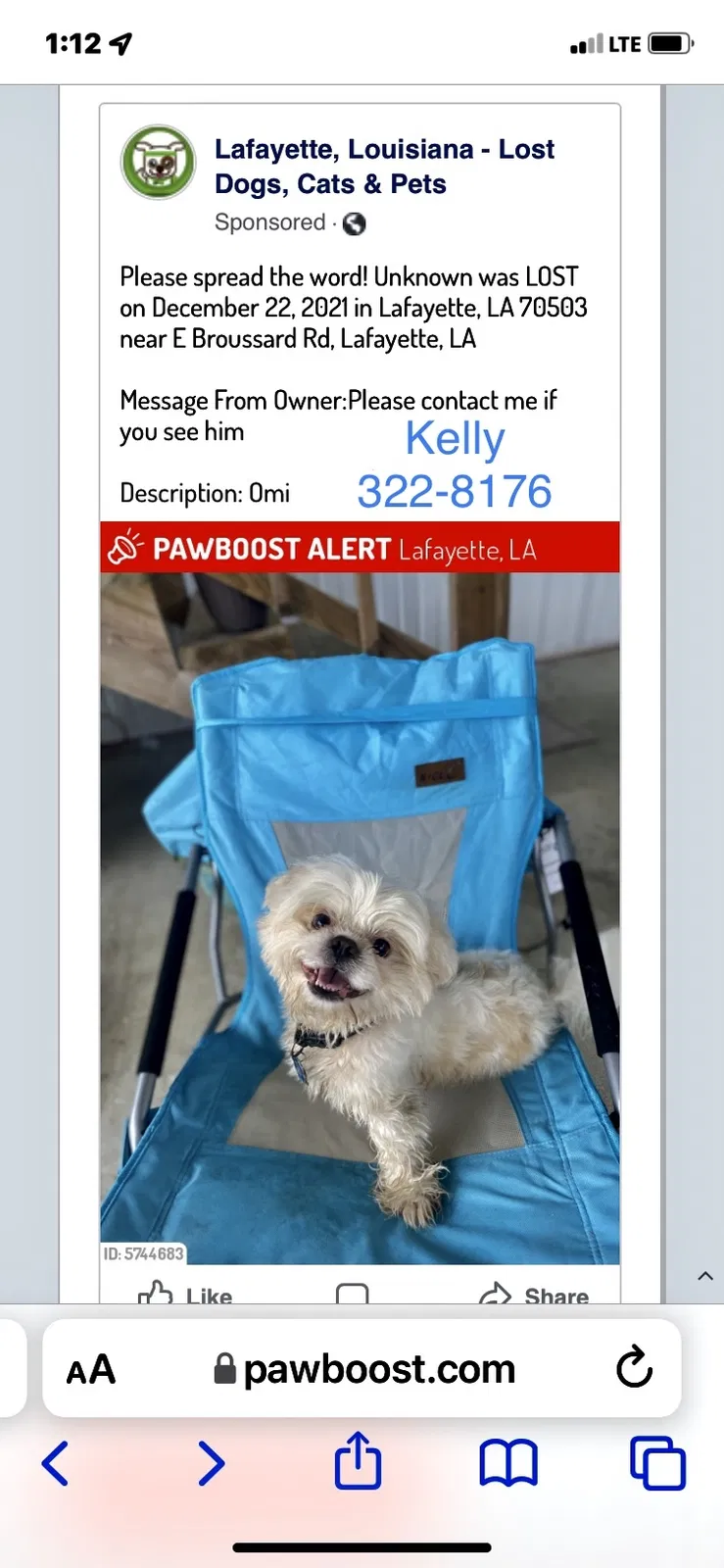 Lost dog in Lafayette, LA, 70503