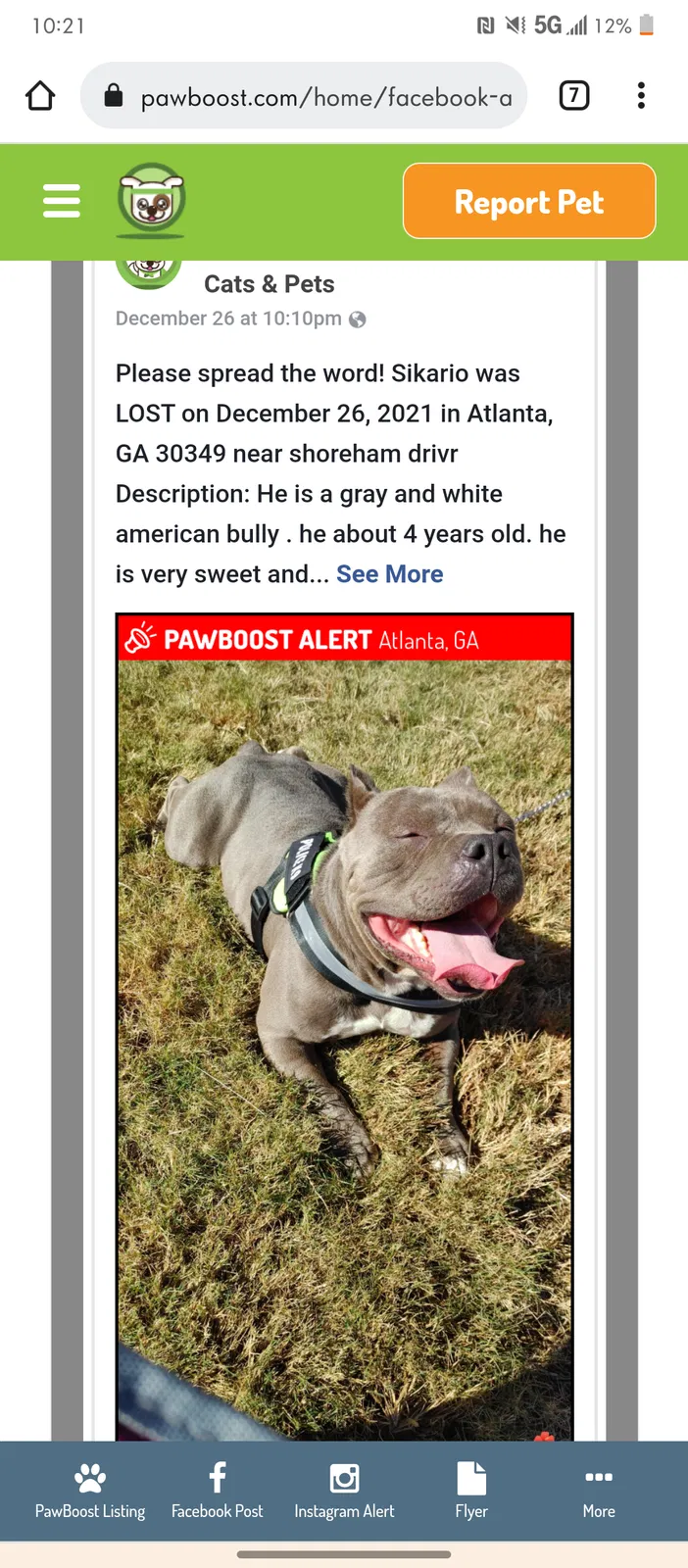 Lost dog in Atlanta, GA, 30349
