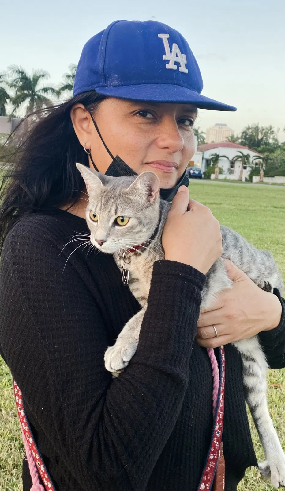 Lost cat in Miami, FL, 33138