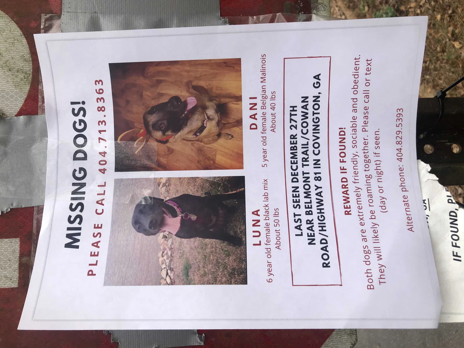 Lost dog in Covington, GA, 30016