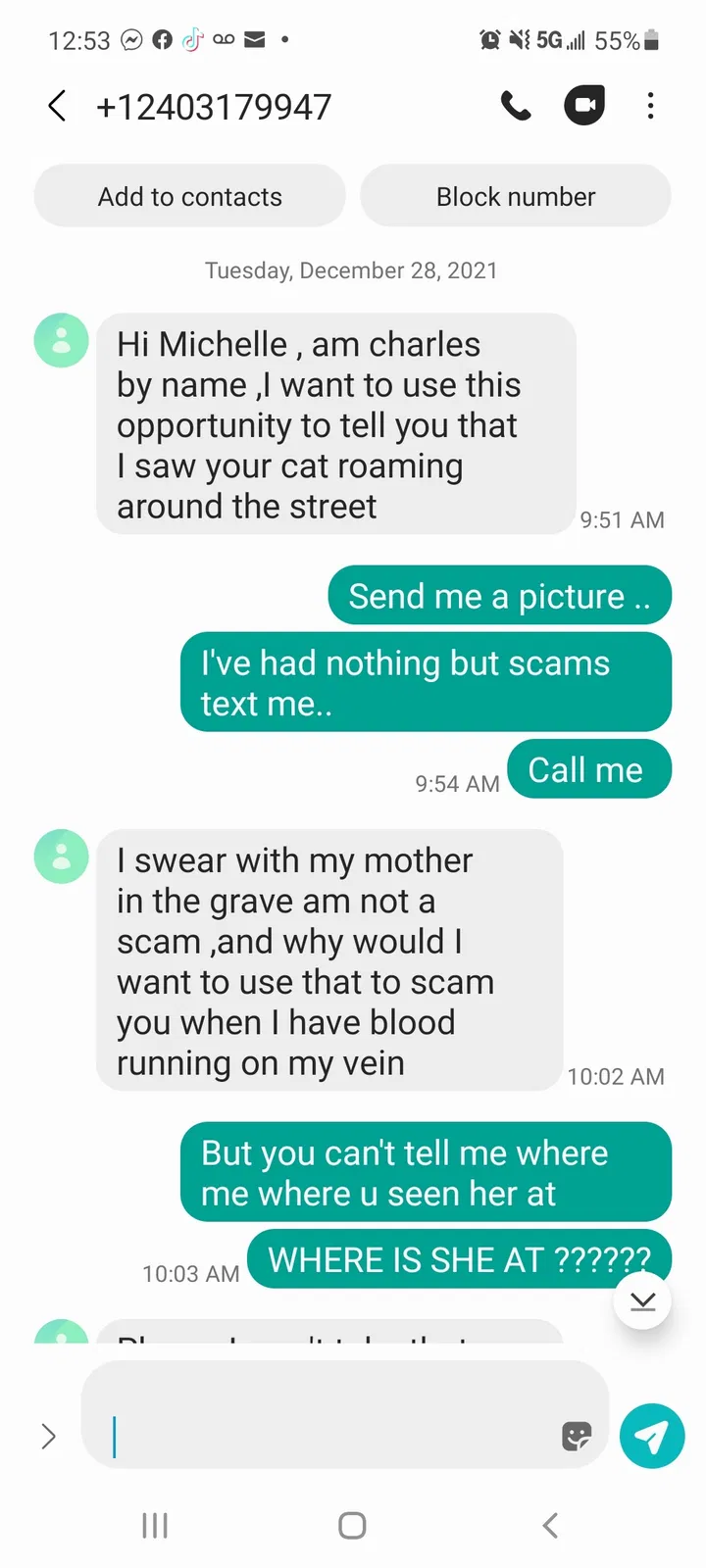 Lost cat in Union City, GA, 30291