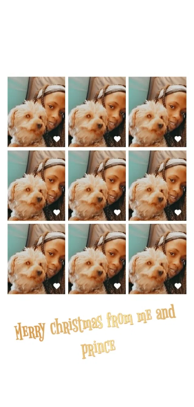 Lost dog in San Francisco, CA, 94124