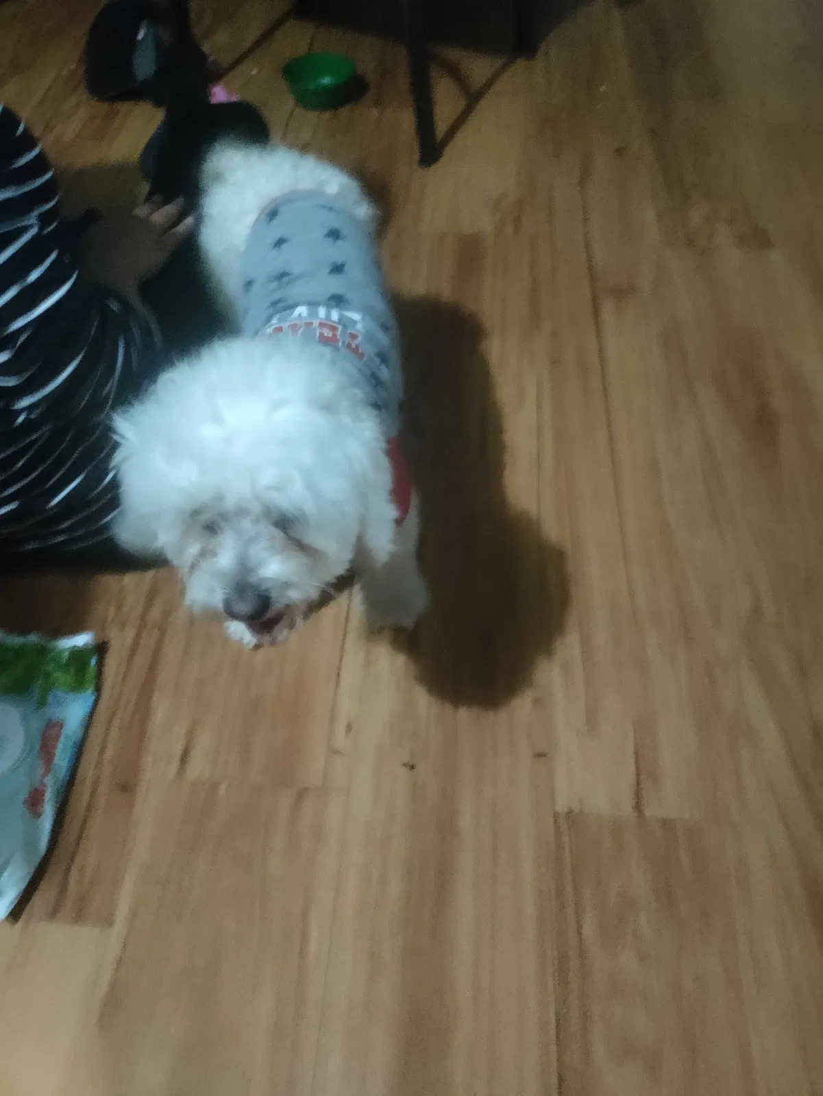Lost dog in Perris, CA, 92570