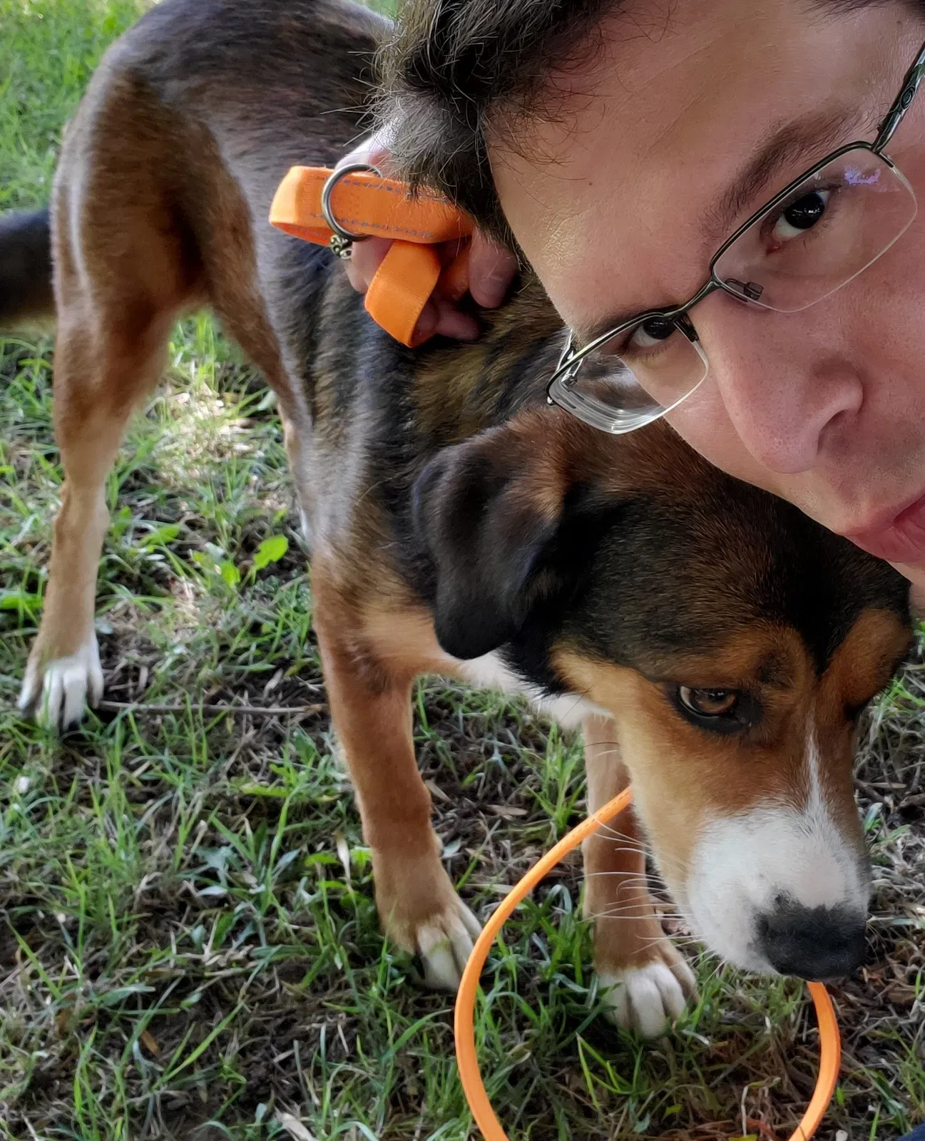 Lost dog in Sand Springs, OK, 74063