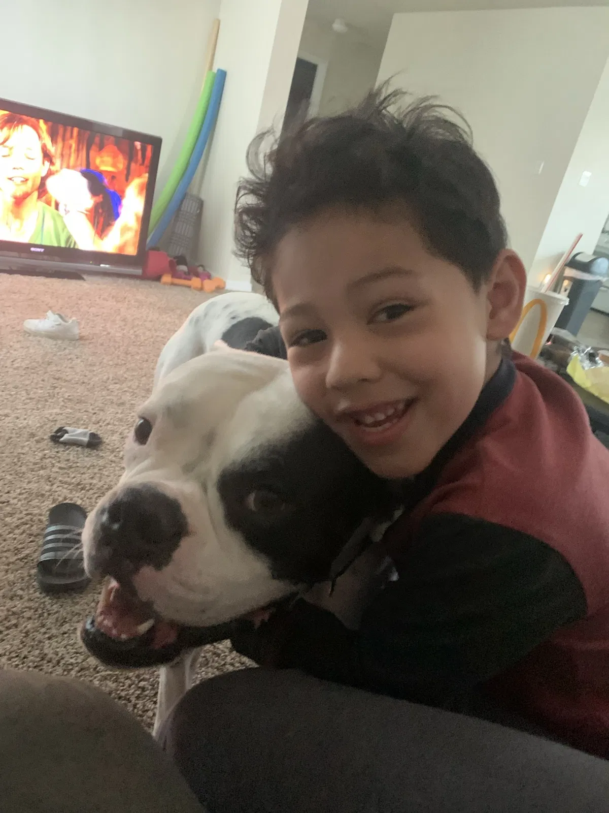 Lost dog in Albuquerque, NM, 87114