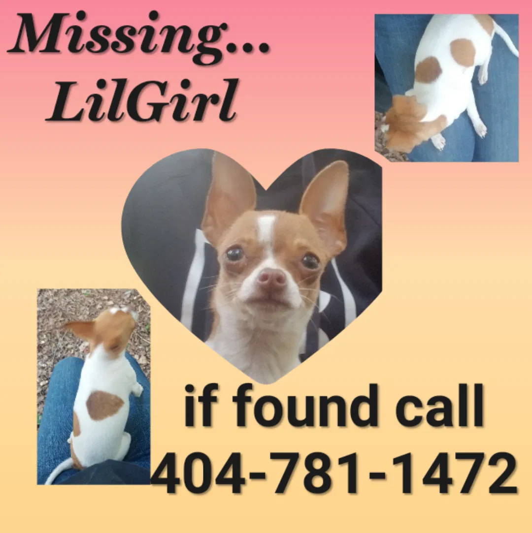 Lost dog in Carrollton, GA, 30116