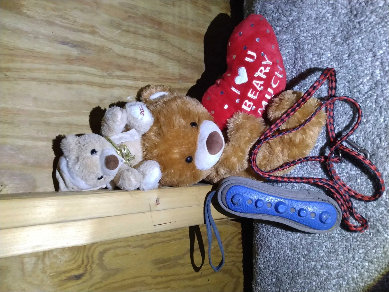 Lost dog in Herndon, WV, 24726