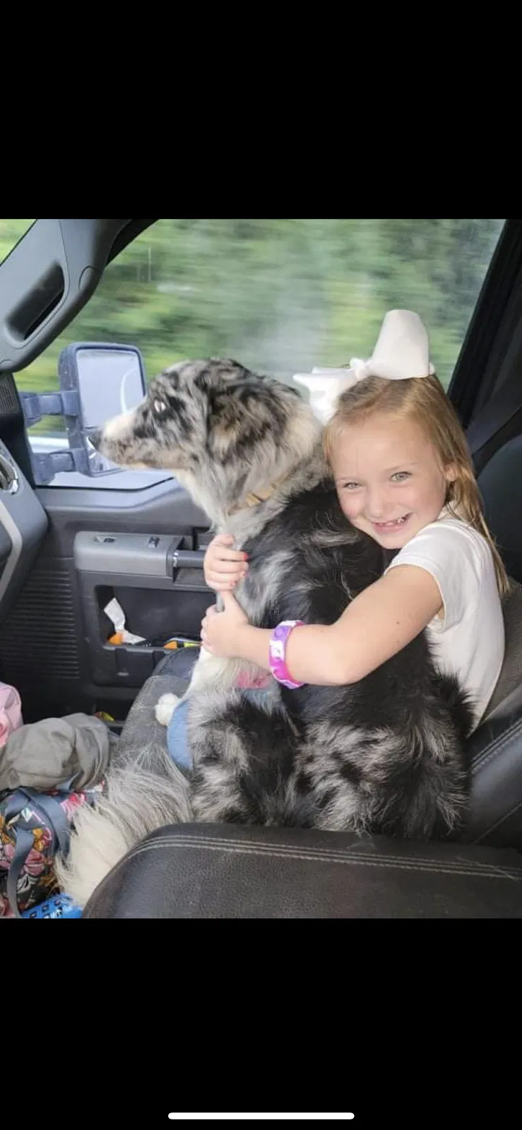 Lost dog in Waverly, TN, 37185