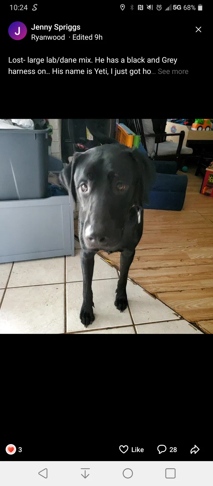 Lost dog in Fort Worth, TX, 76112