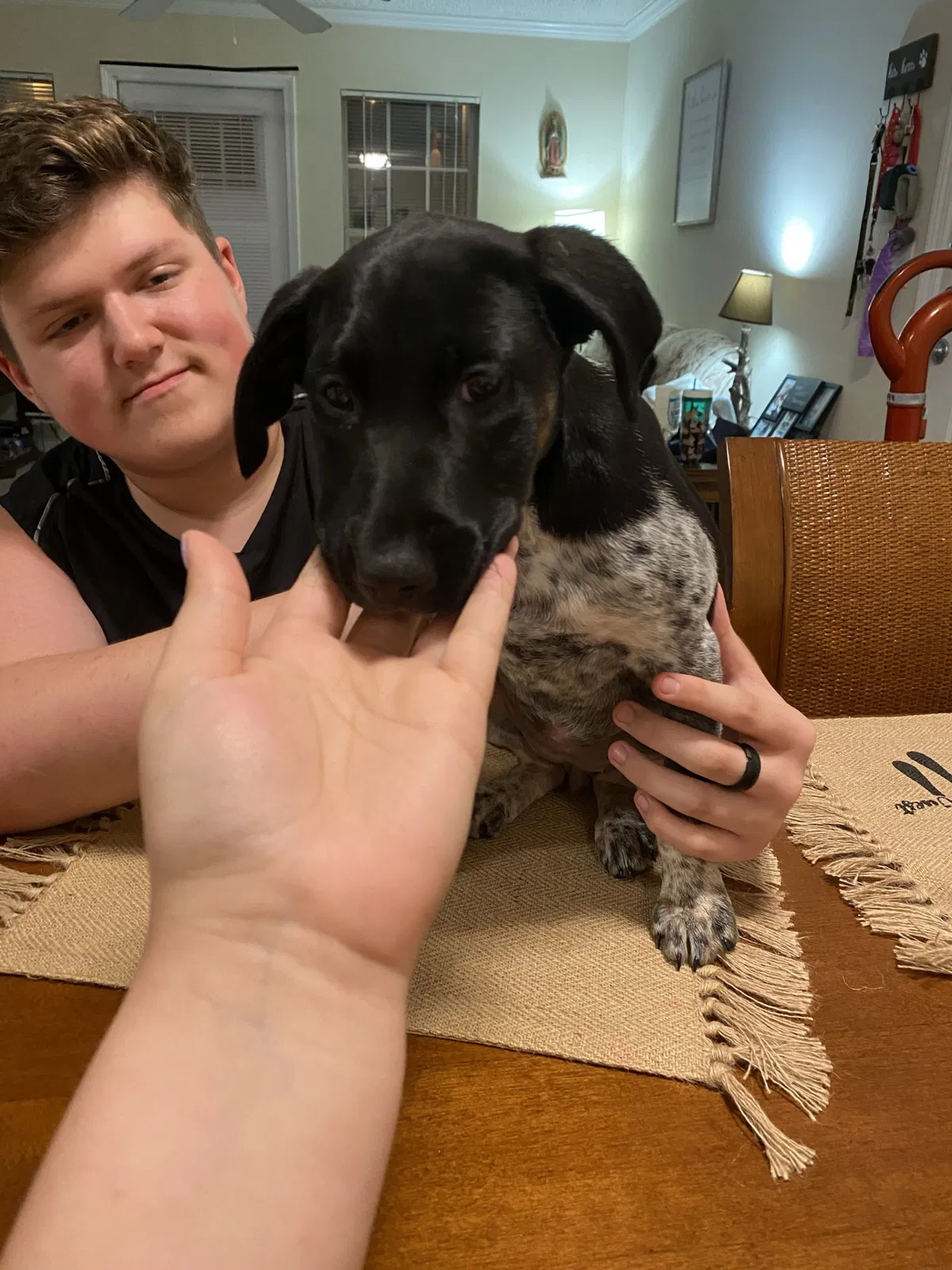 Lost dog in Newnan, GA, 30265
