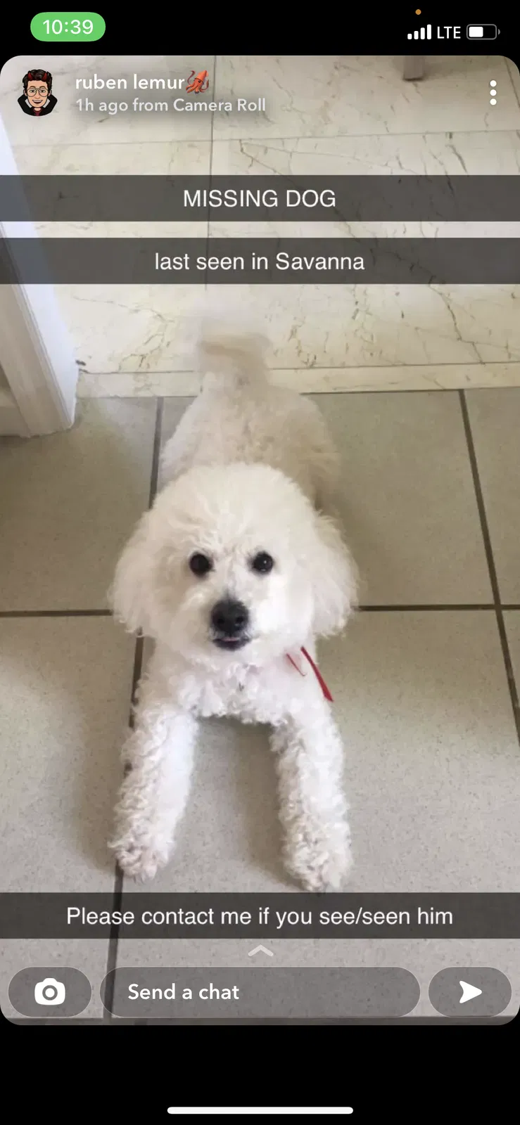 Lost dog in Fort Lauderdale, FL, 33327