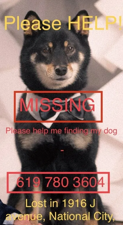 Lost dog in National City, CA, 91950