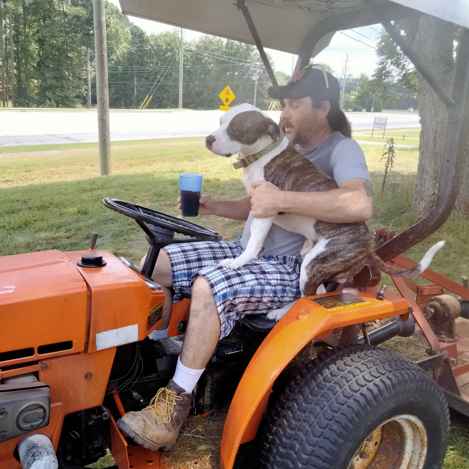 Lost dog in Loganville, GA, 30052