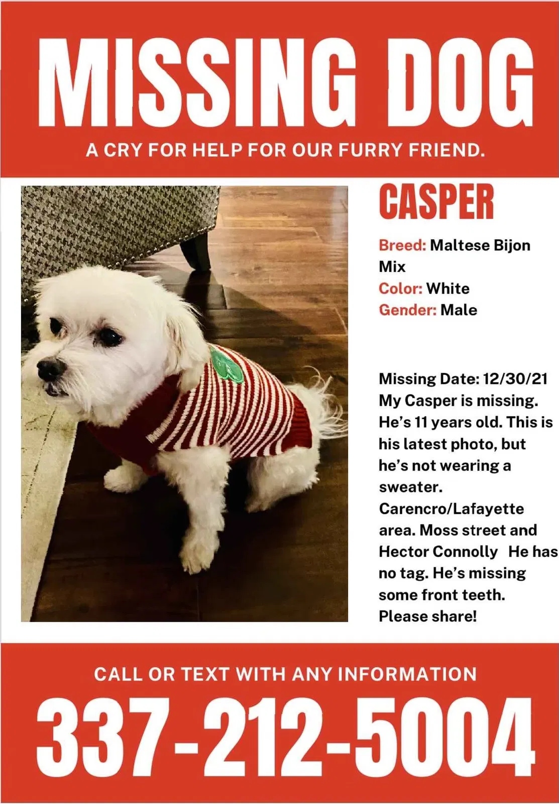 Lost dog in Lafayette, LA, 70507