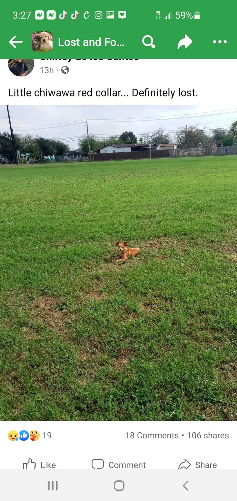 Lost dog in Corpus Christi, TX, 78416