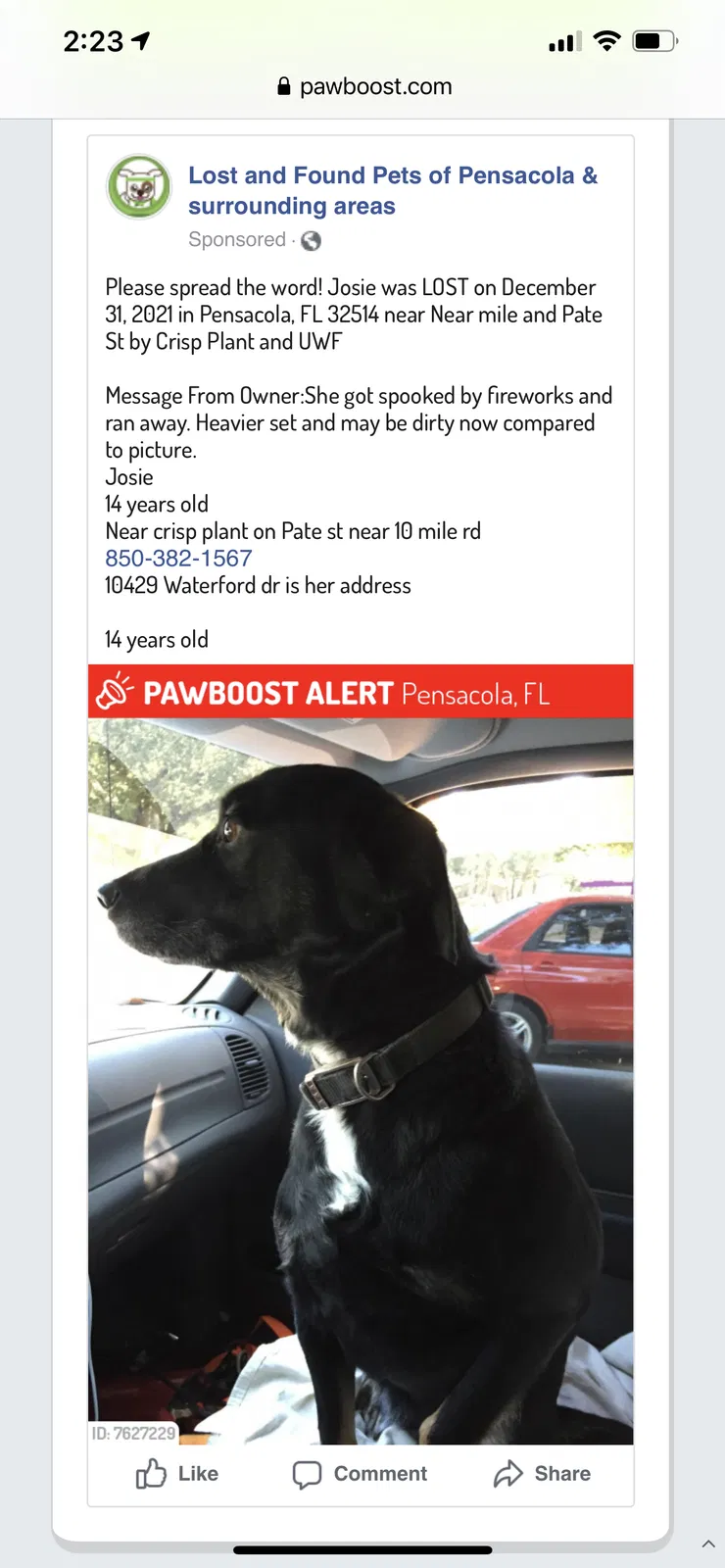 Lost dog in Pensacola, FL, 32514
