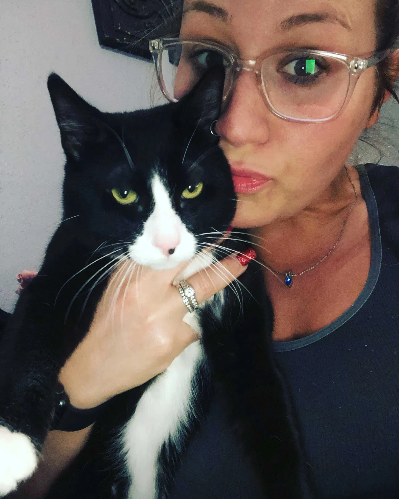 Lost cat in Channelview, TX, 77530