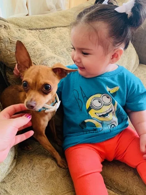 Lost dog in San Antonio, TX, 78213
