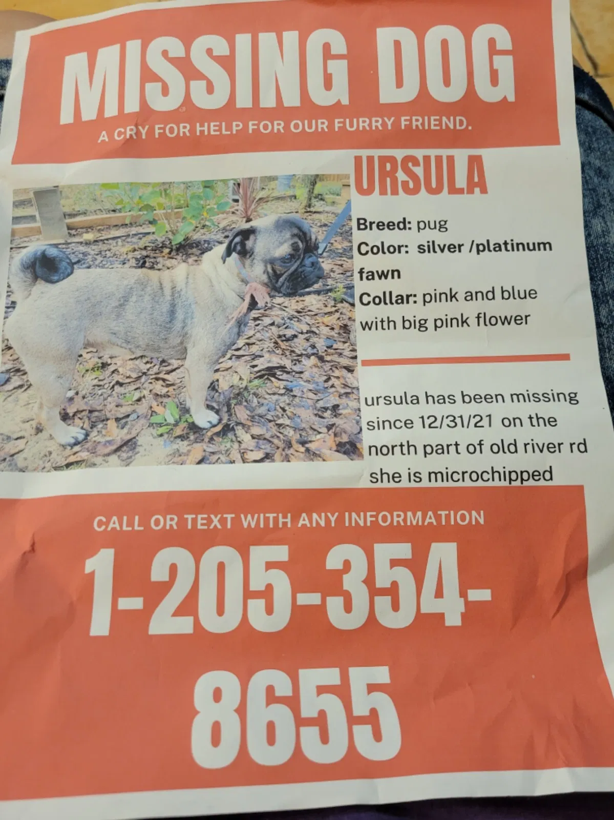 Lost dog in Vancleave, MS, 39565
