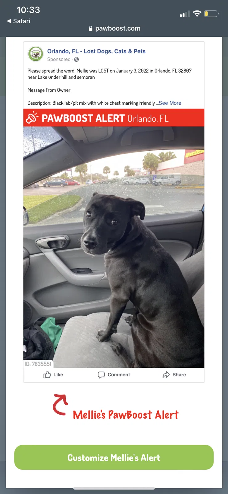 Lost dog in Orlando, FL, 32807