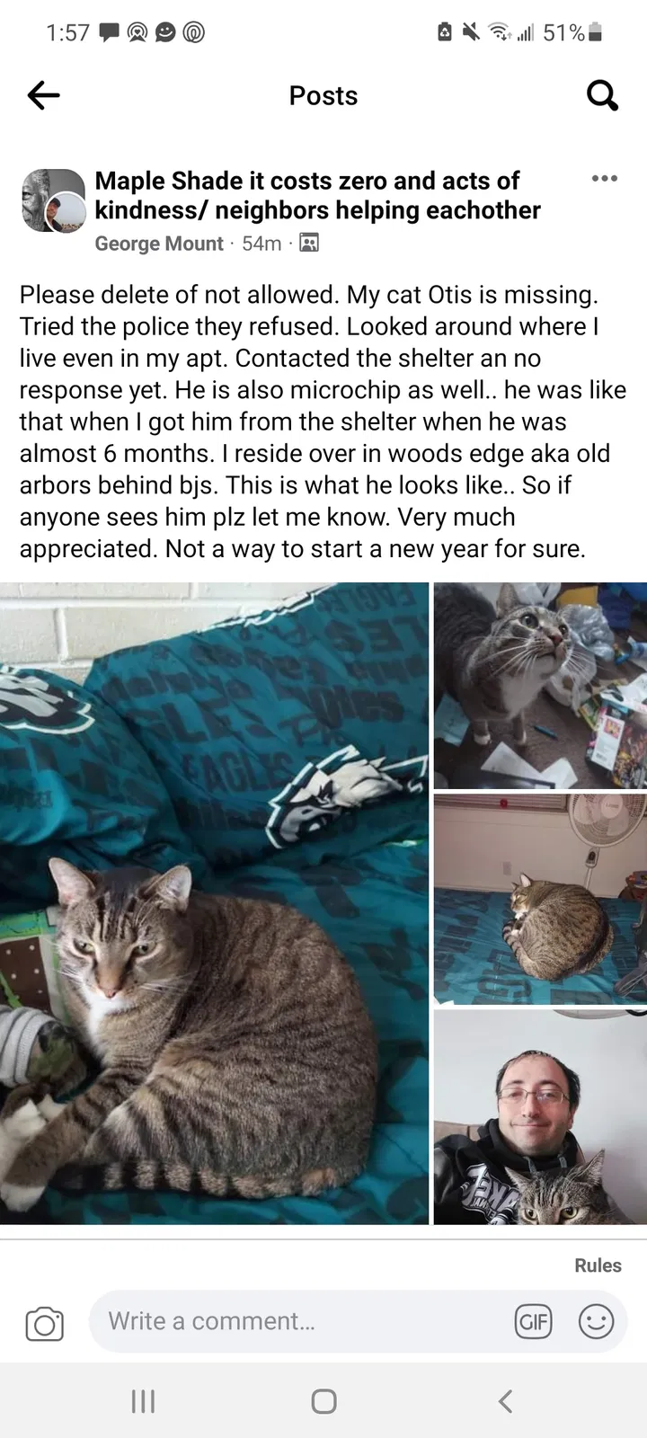 Lost cat in Maple Shade, NJ, 8052