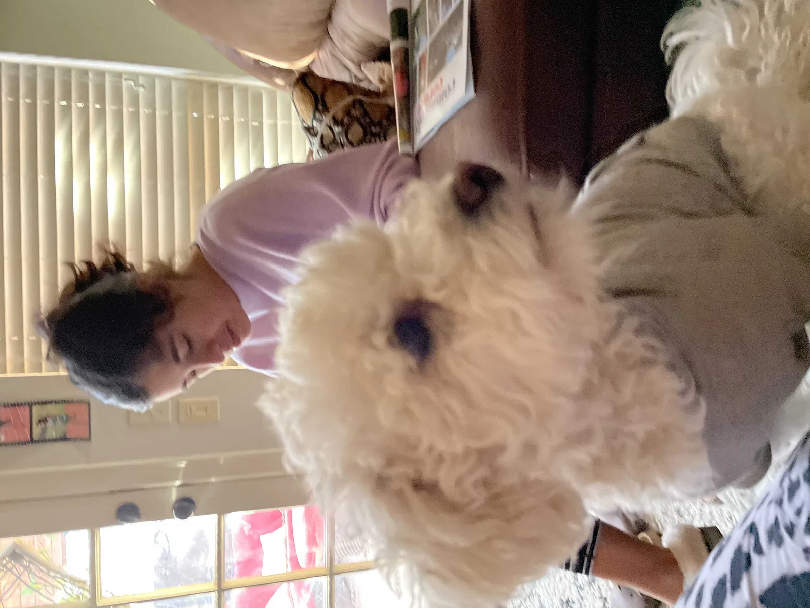 Found dog in Canyon, TX, 79015