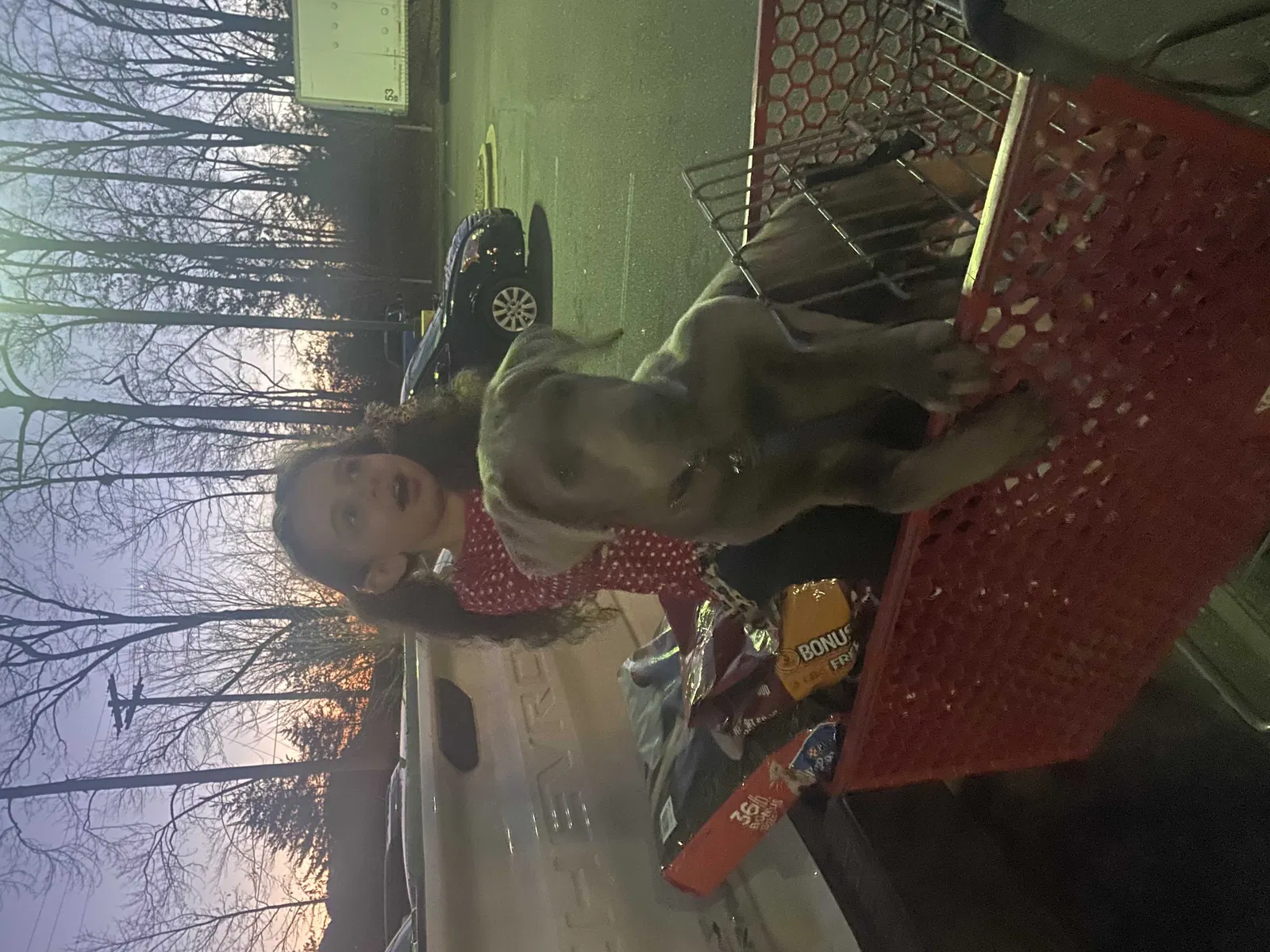 Lost dog in Kings Mountain, NC, 28086