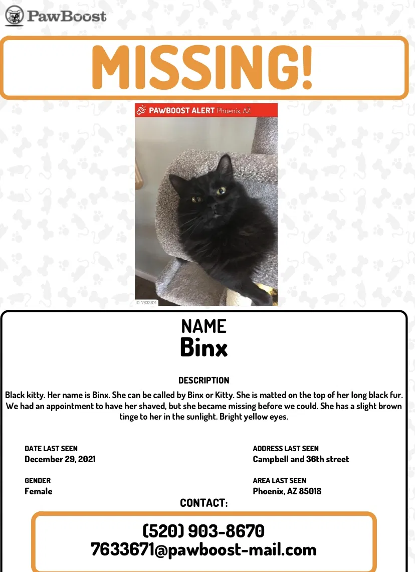 Lost cat in Phoenix, AZ, 85016