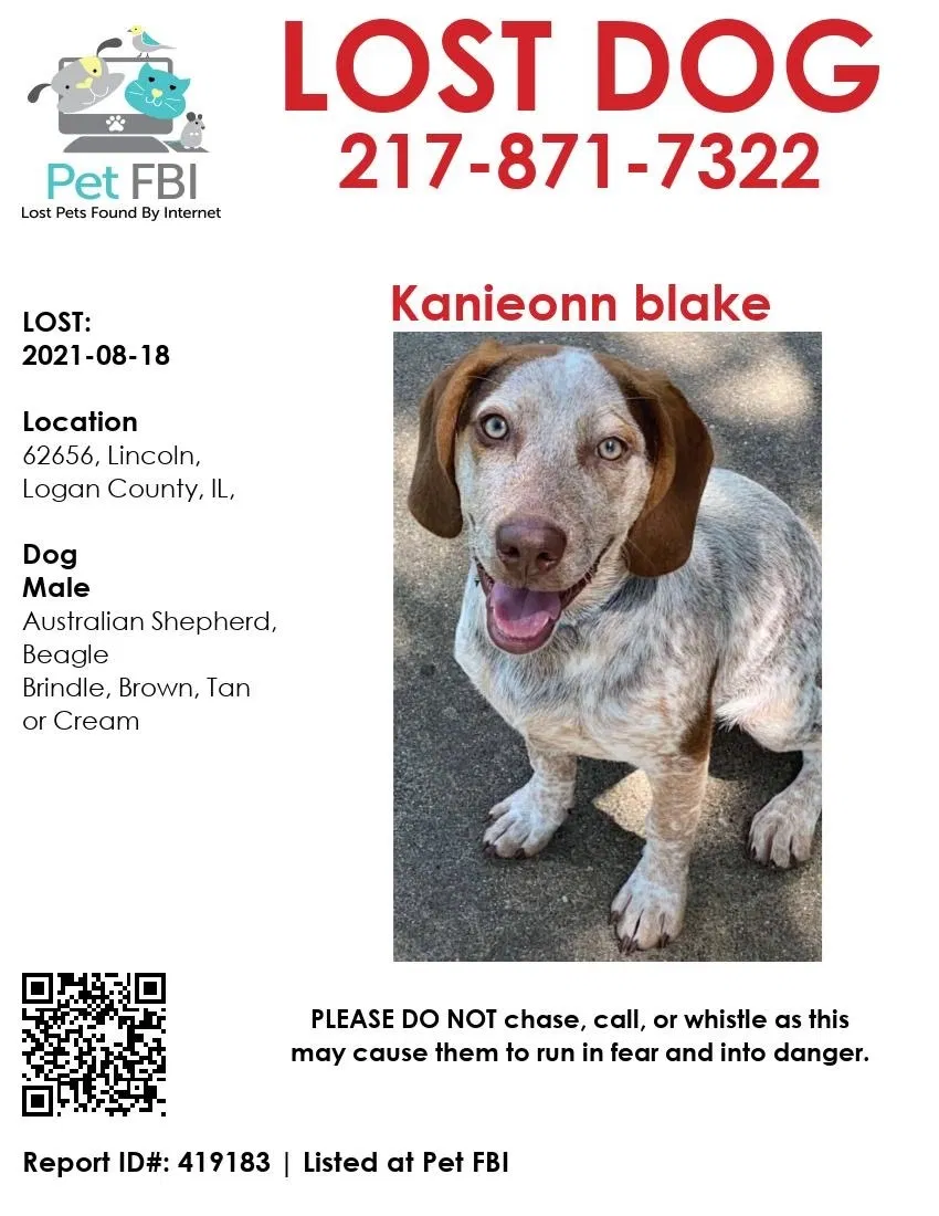 Lost dog in Springfield, IL, 62704