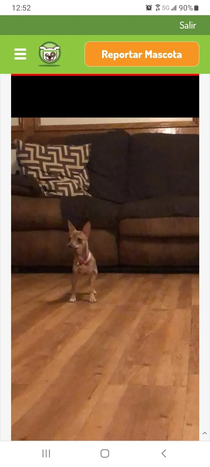 Lost dog in Elgin, TX, 78621
