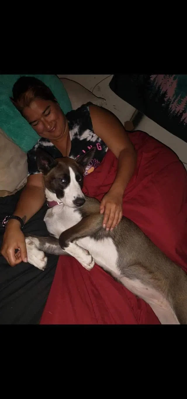Lost dog in Tahlequah, OK, 74464