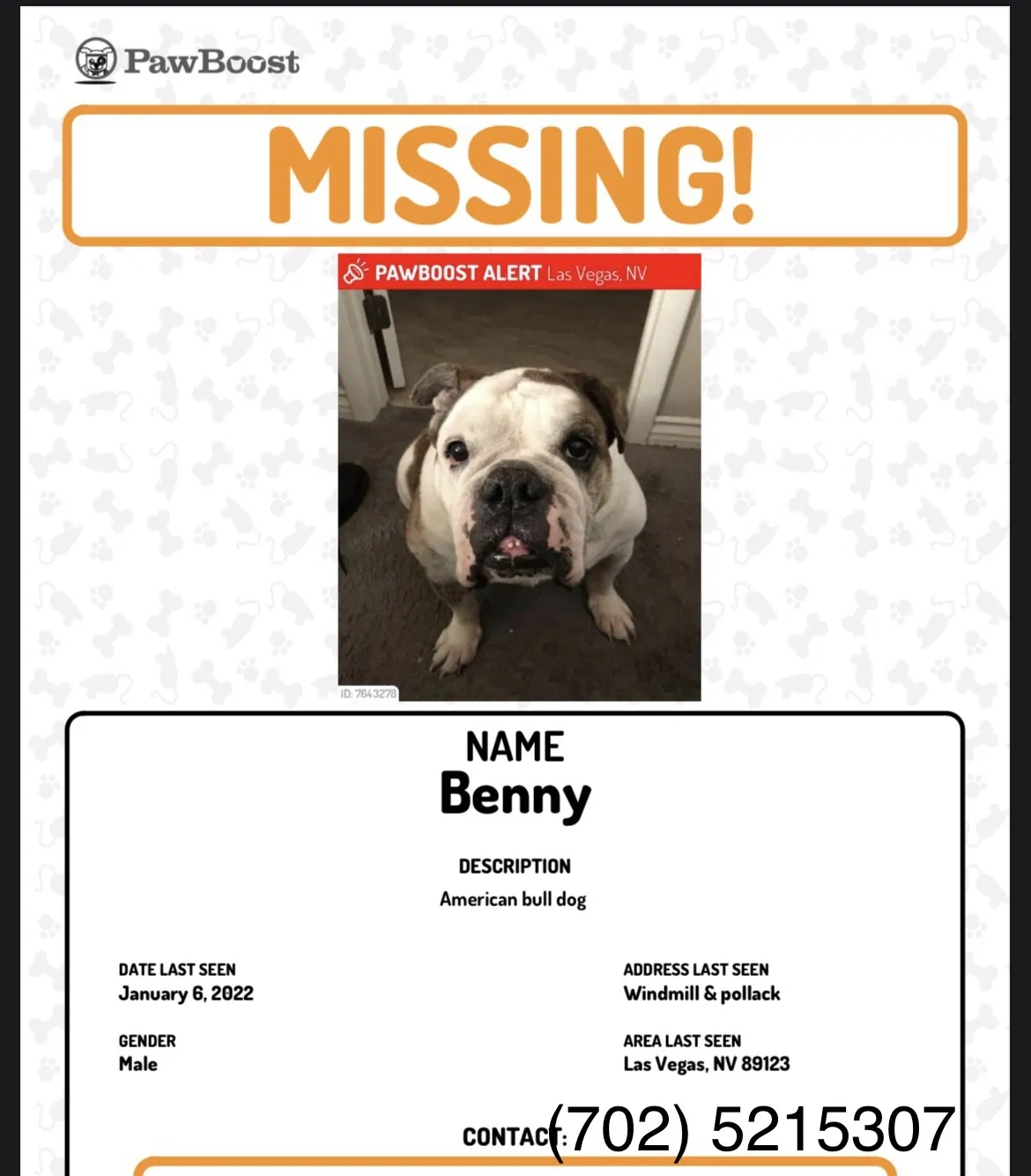Lost dog in Las Vegas, NV, 89123