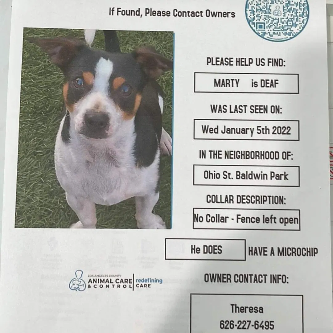 Lost dog in Baldwin Park, CA, 91706