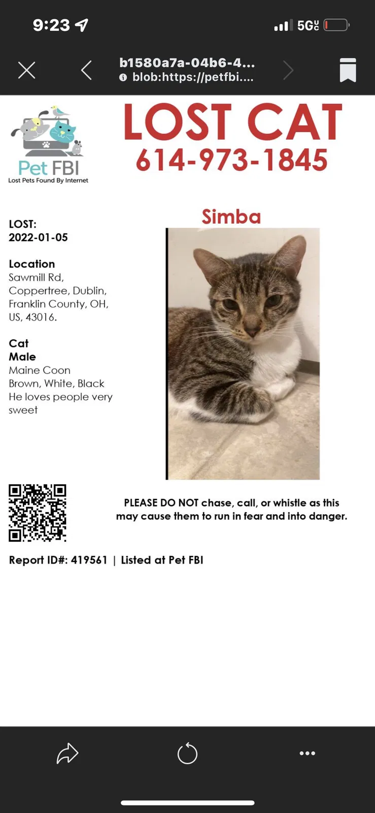 Lost cat in Dublin, OH, 43016