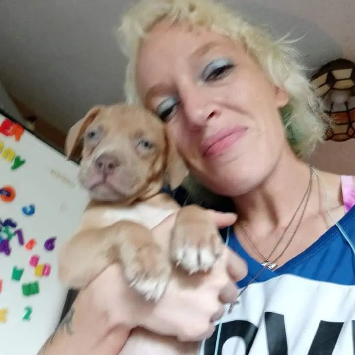 Lost dog in Springfield, MO, 65810