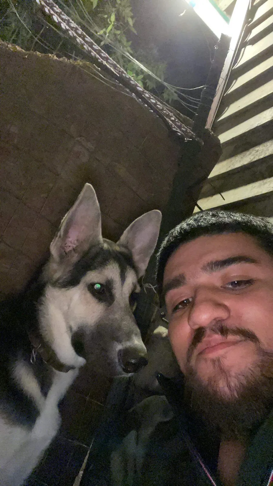Lost dog in Fort Worth, TX, 76105