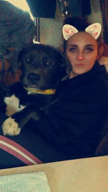 Lost dog in Whitwell, TN, 37397