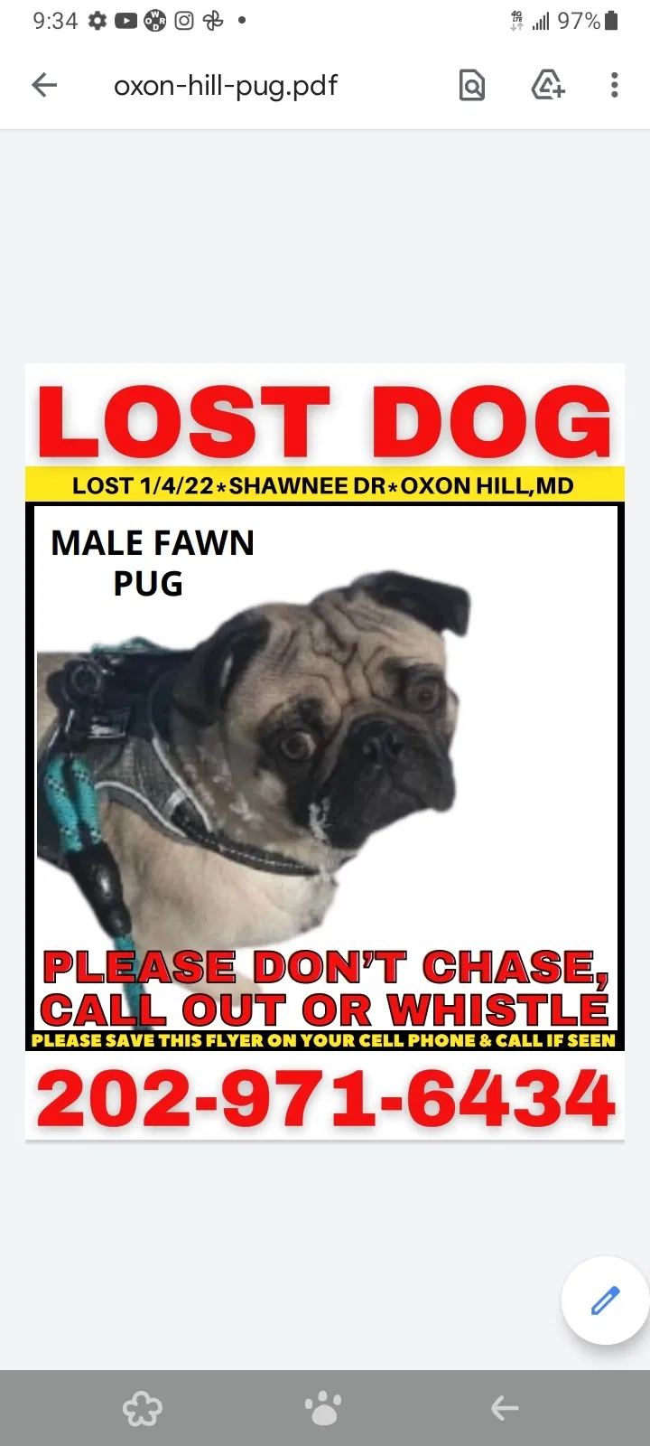 Lost dog in Oxon Hill, MD, 20745
