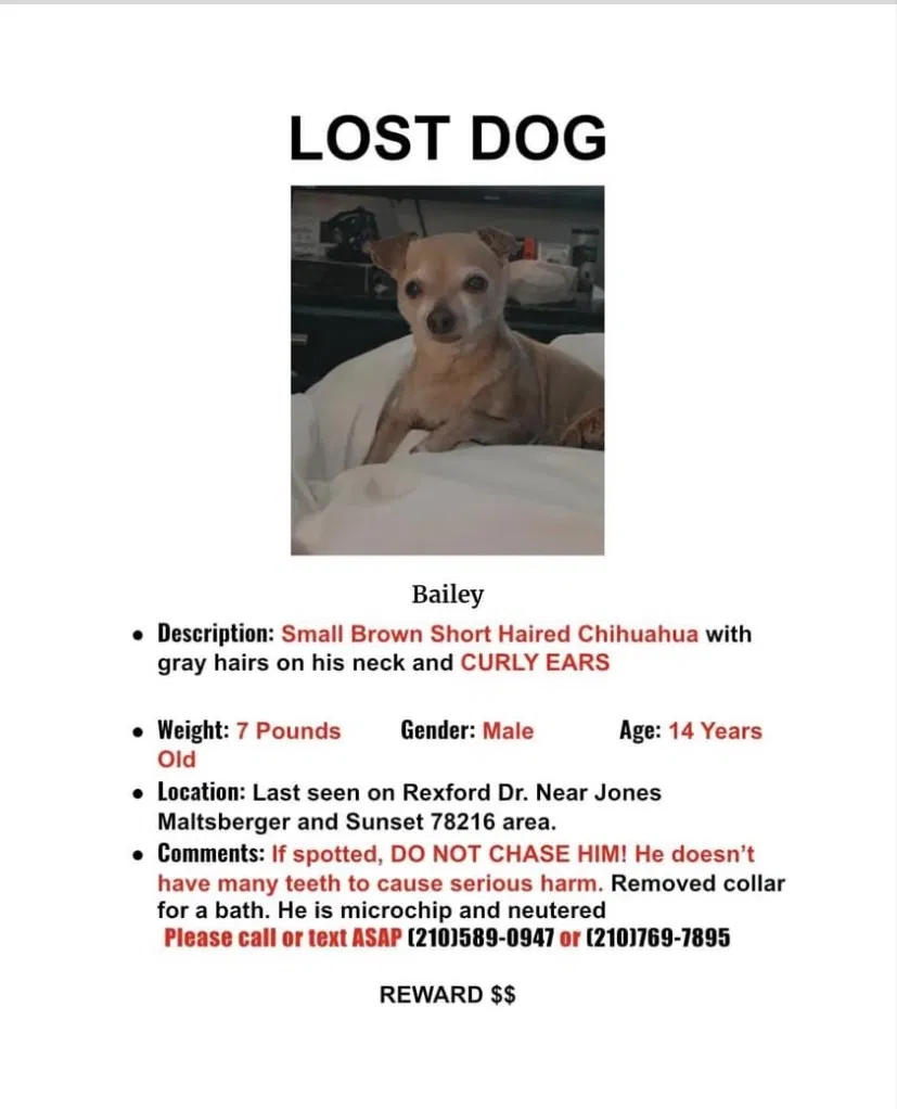 Lost dog in San Antonio, TX, 78216
