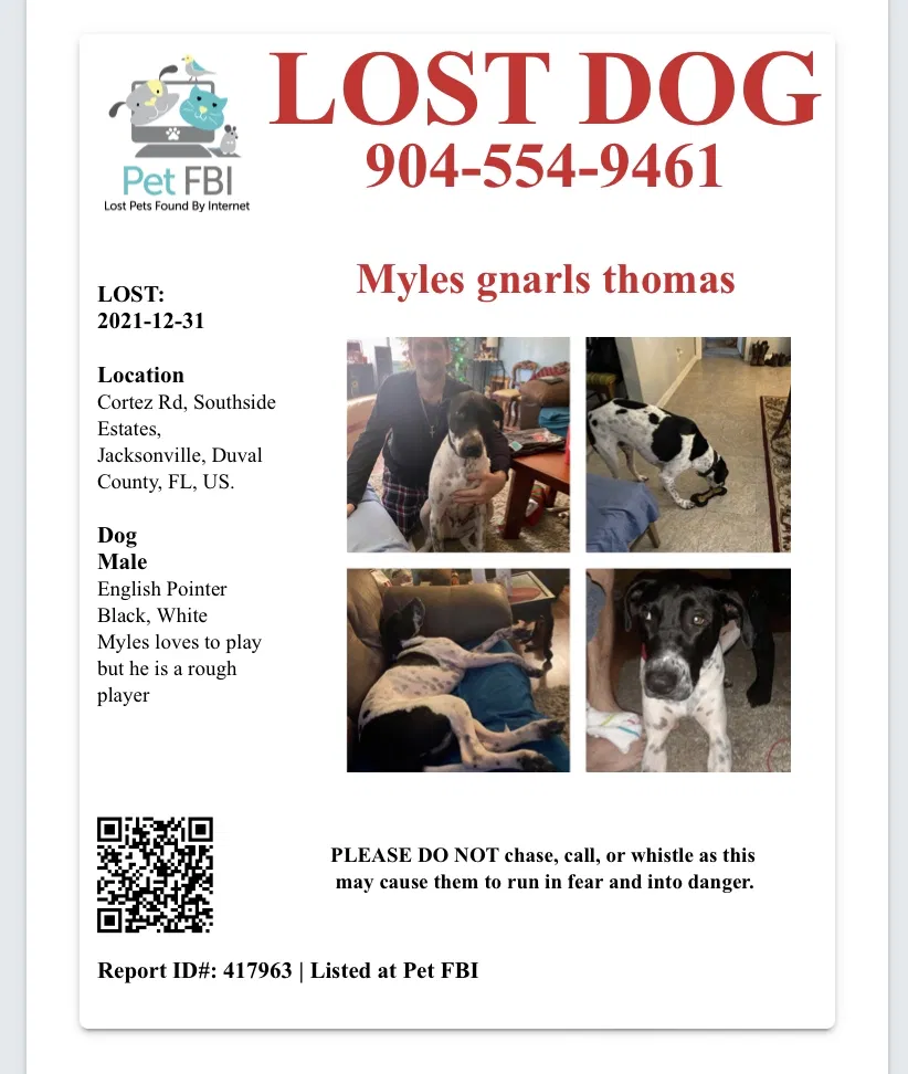 Lost dog in Jacksonville, FL, 32246
