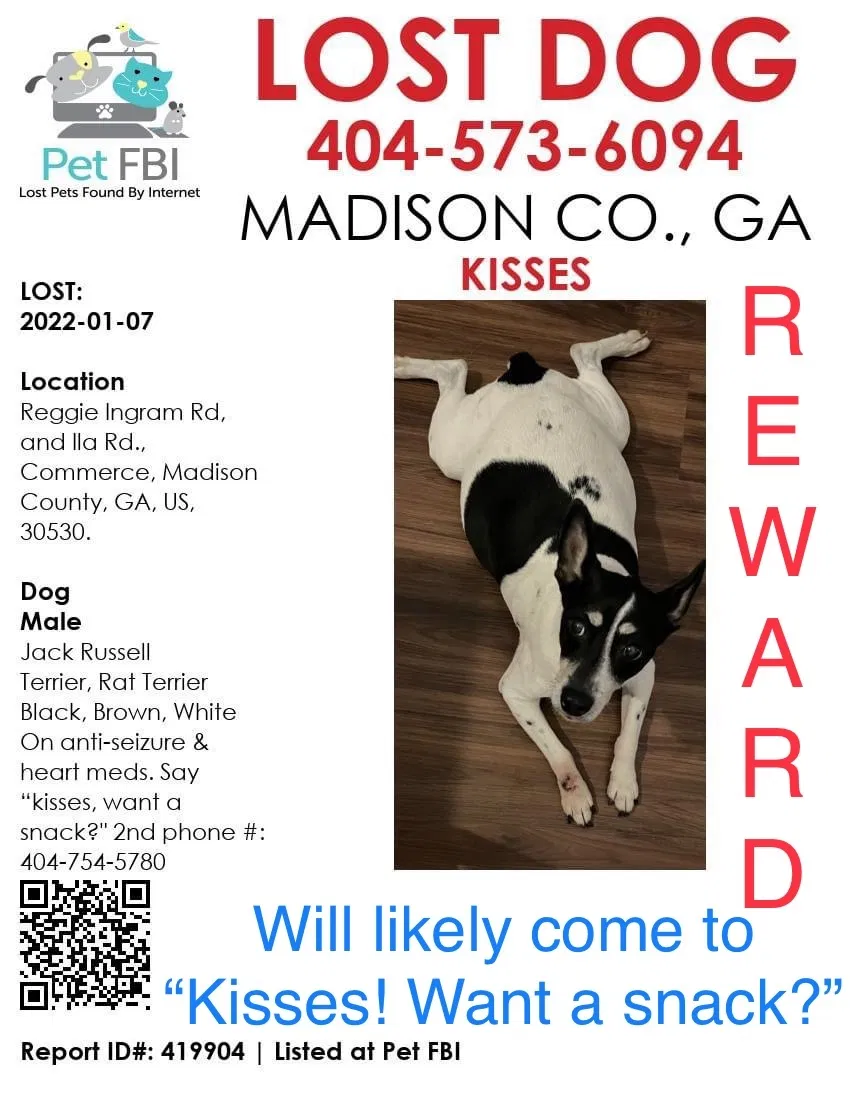 Lost dog in Commerce, GA, 30530