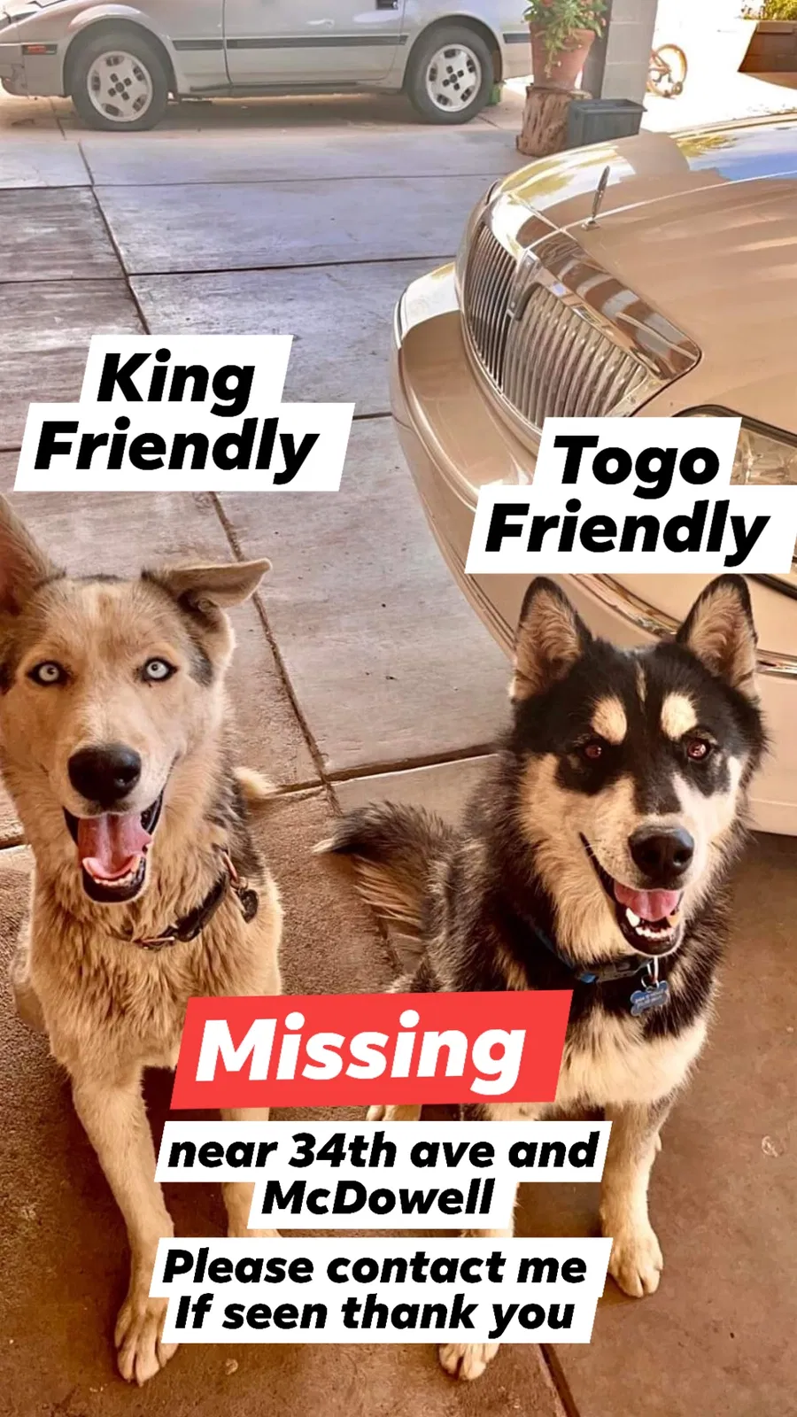 Lost dog in Phoenix, AZ, 85009