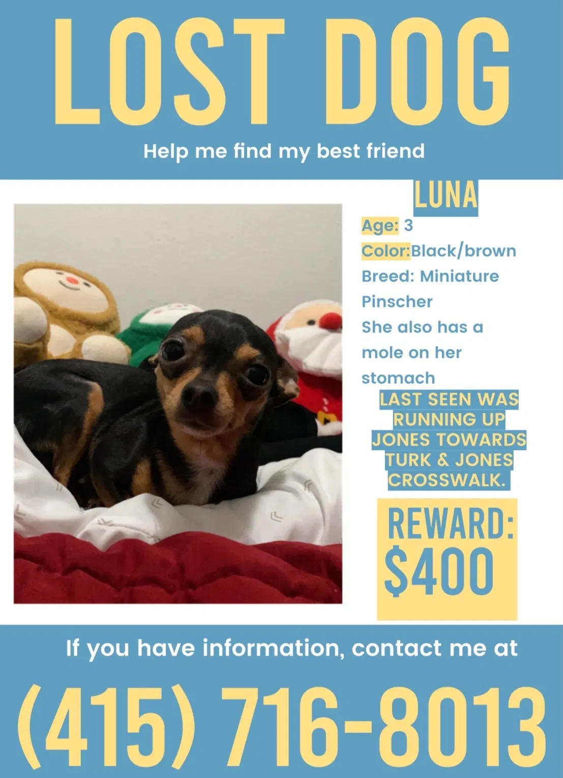 Lost dog in San Francisco, CA, 94102