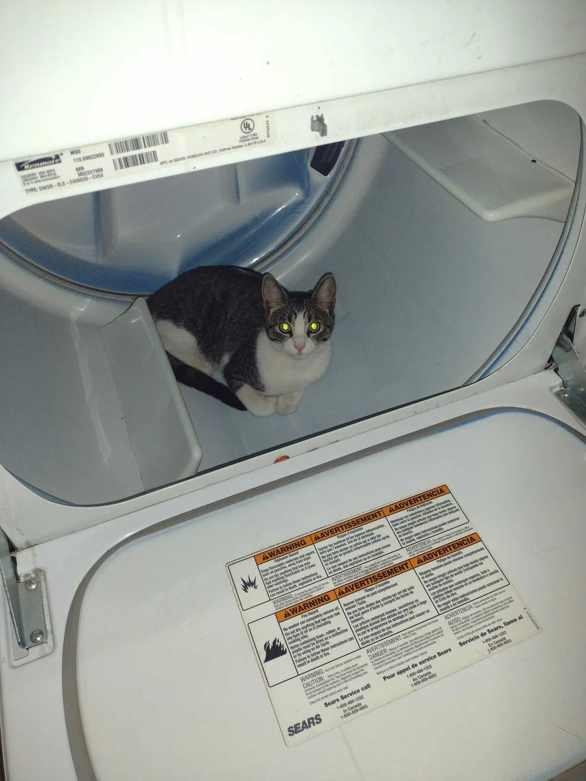 Lost cat in Las Vegas, NV, 89104