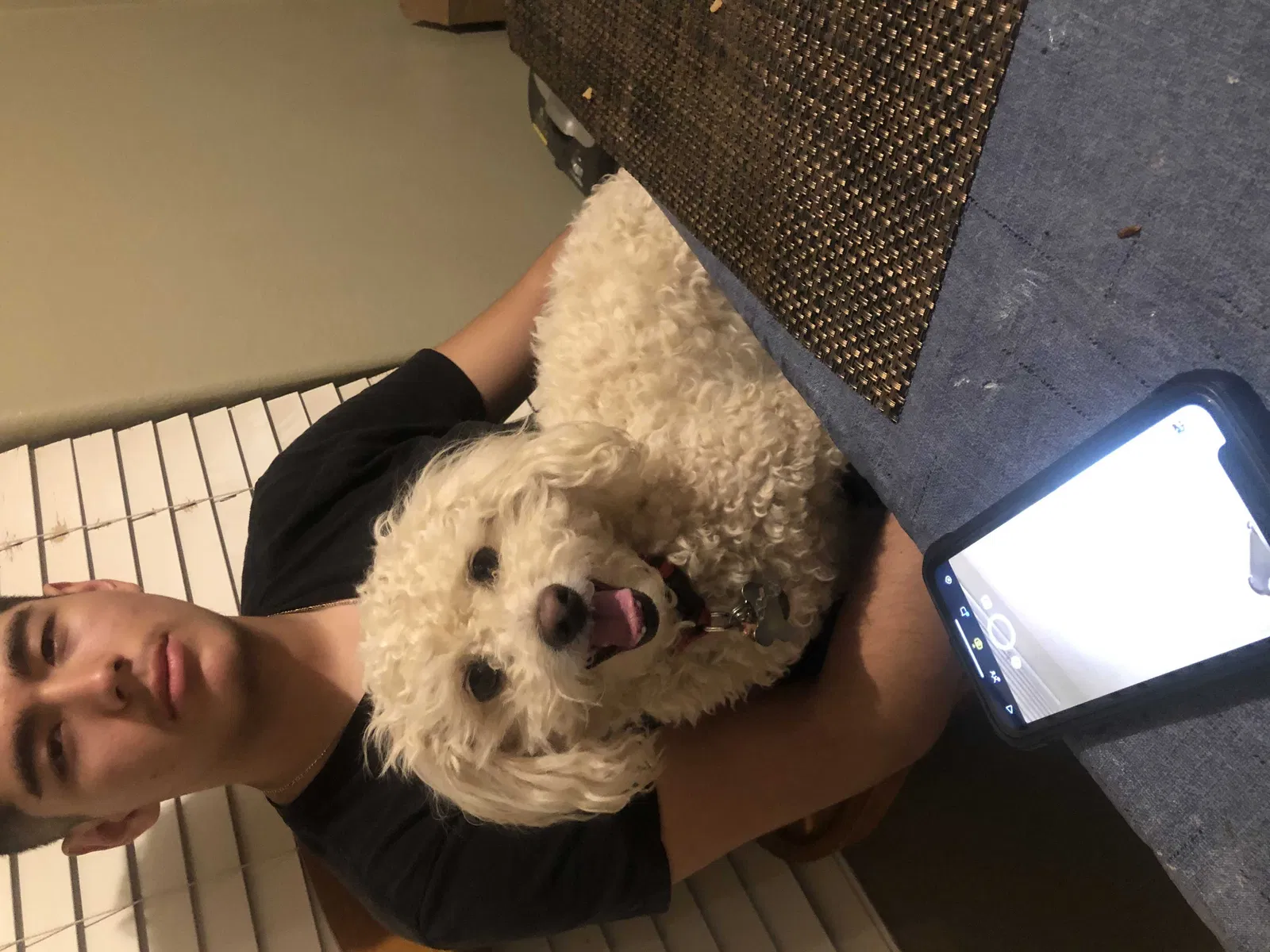 Lost dog in Phoenix, AZ, 85043
