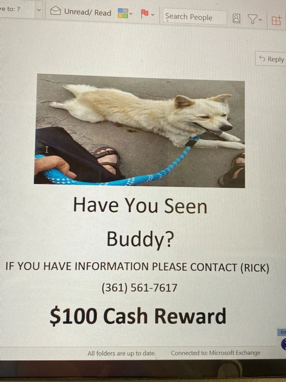 Lost dog in Corpus Christi, TX, 78408