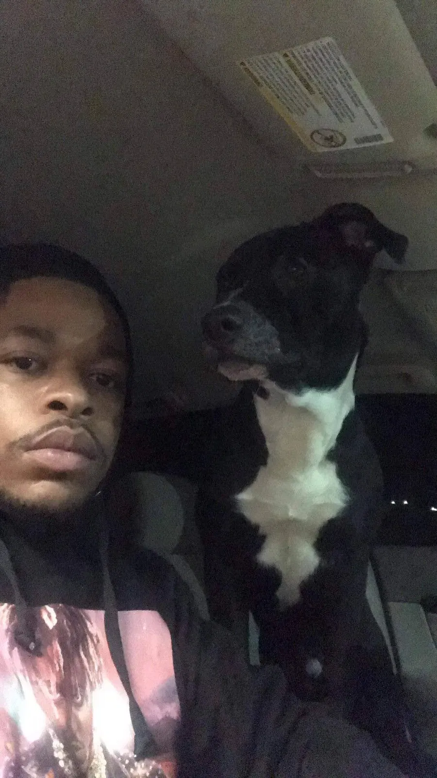 Lost dog in Dayton, OH, 45417