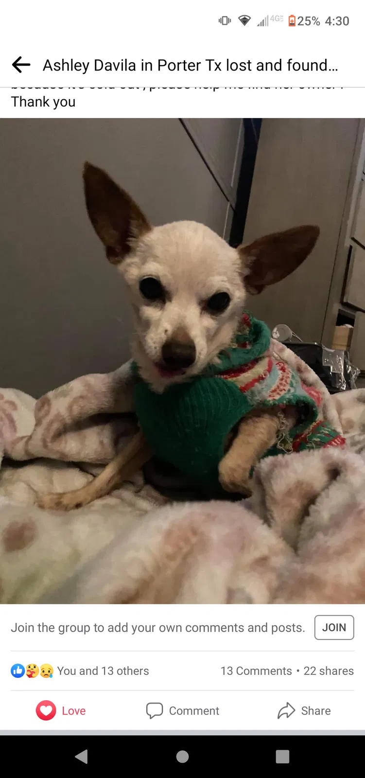 Lost dog in Porter, TX, 77365